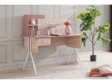 Rosamund Teen Room Desk with Drawer and Metal Legs