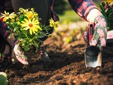 MTF Elite breite Gartenschaufel mit ergonomischem Griff